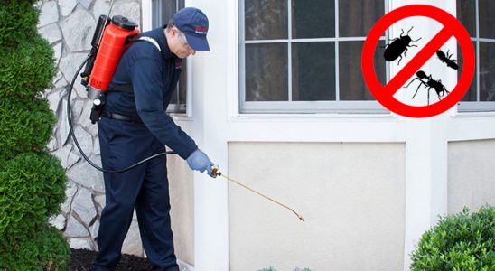 Kahta Karınca İlaçlama böcek ilaçlama ve haşere kontrolü — ilaclama-tr.com